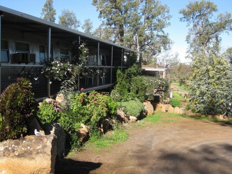 12 Traegers Lane, Temora NSW 2666 - photo 13