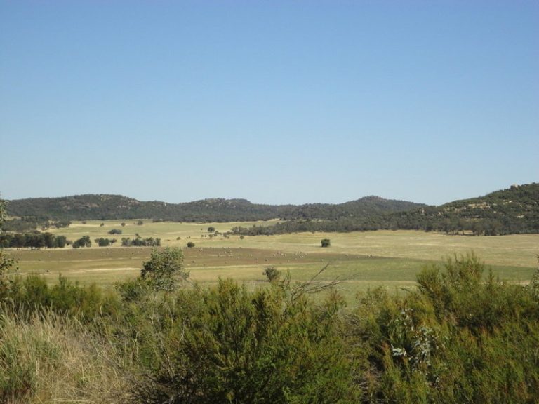 12 Traegers Lane, Temora NSW 2666 - photo 17
