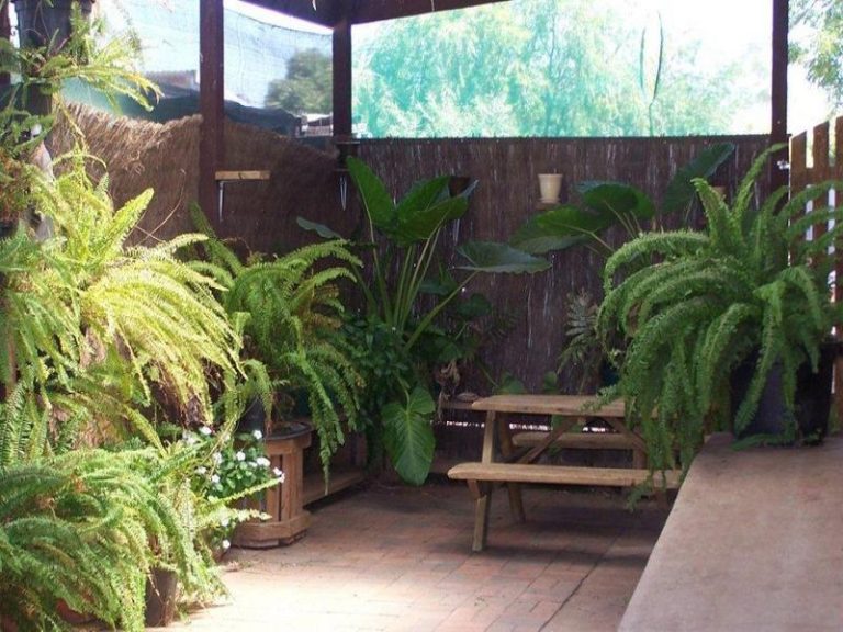 161 Twynam Street, Temora NSW 2666 - photo 13