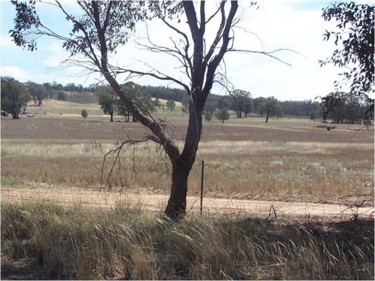 35 Porters Lane, Springdale NSW 2666 - photo 4