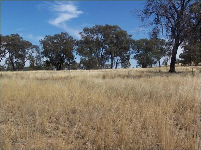 35 Porters Lane, Springdale NSW 2666 - photo 7