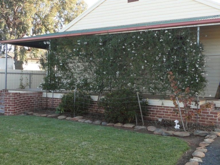 53 Robertson Street, Barmedman NSW 2668 - photo 6