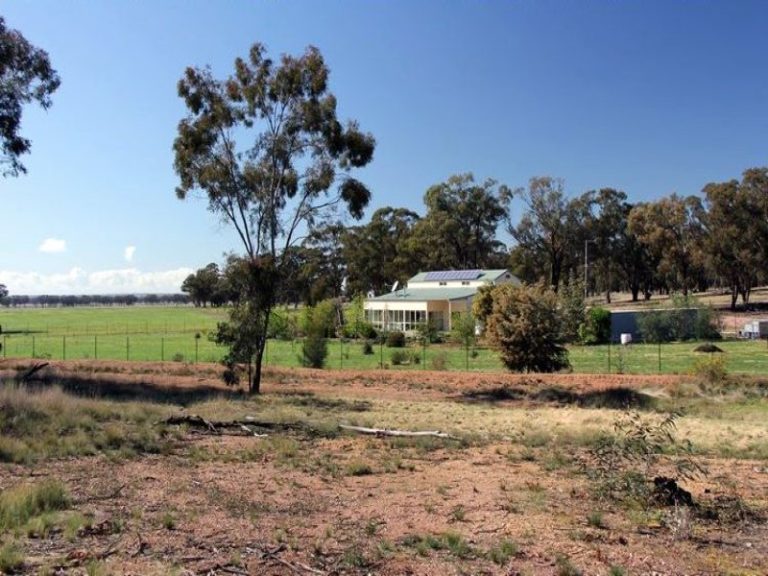 418 Rodways Lane, Temora NSW 2666 - photo 12