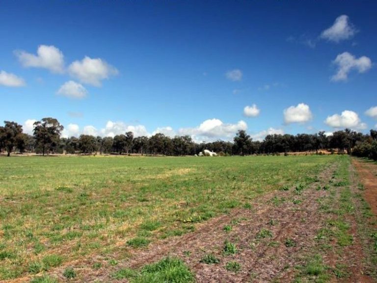 418 Rodways Lane, Temora NSW 2666 - photo 13