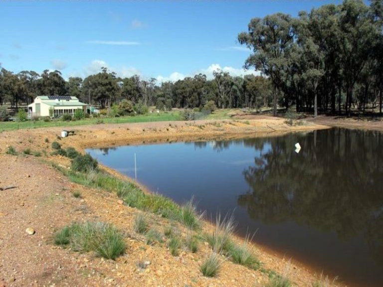 418 Rodways Lane, Temora NSW 2666 - photo 16