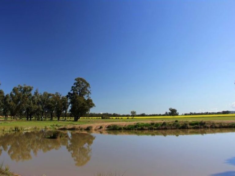 418 Rodways Lane, Temora NSW 2666 - photo 3