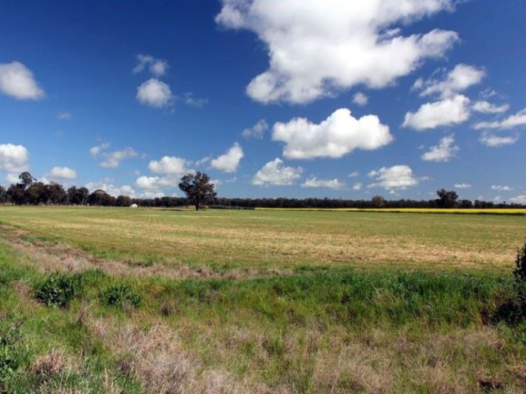 418 Rodways Lane, Temora NSW 2666 - photo 25
