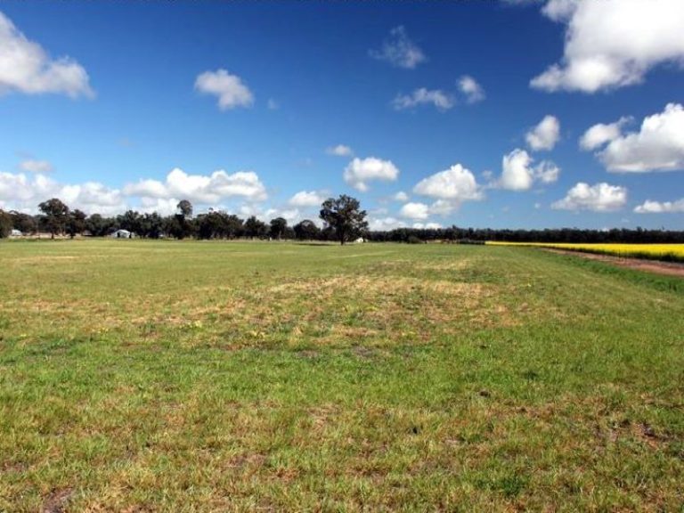 418 Rodways Lane, Temora NSW 2666 - photo 6