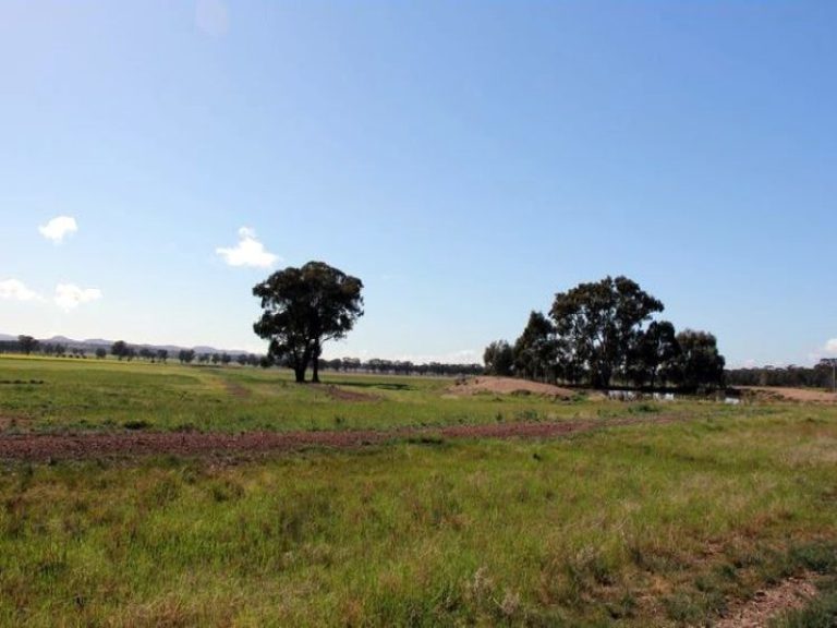 418 Rodways Lane, Temora NSW 2666 - photo 7