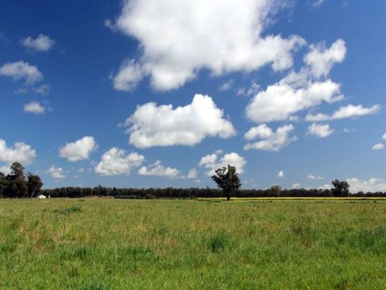 418 Rodways Lane, Temora NSW 2666 - McGrath Riverina