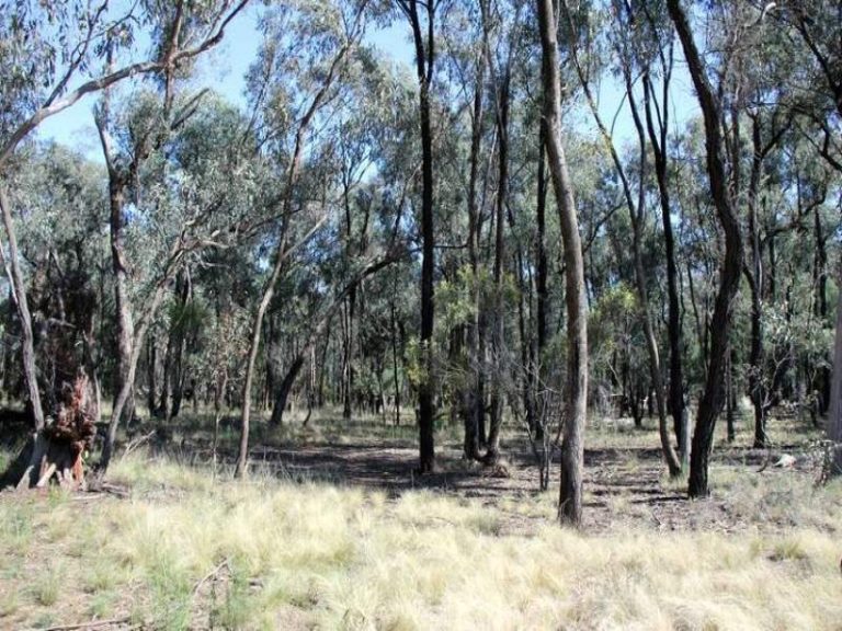 418 Rodways Lane, Temora NSW 2666 - photo 10
