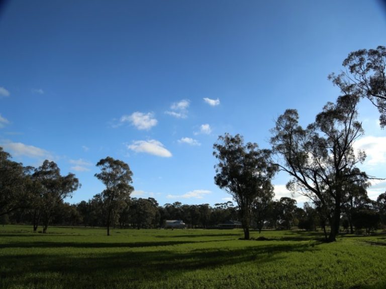 198 Moroney's Lane*, Temora NSW 2666 - photo 5