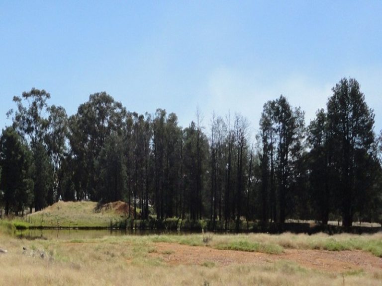 45 Airport Street, Temora NSW 2666 - photo 5
