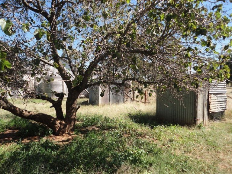 45 Airport Street, Temora NSW 2666 - photo 7