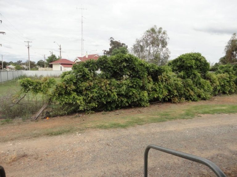 94 Kitchener Road, Temora NSW 2666 - photo 2