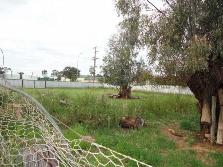 94 Kitchener Road, Temora NSW 2666 - photo 3