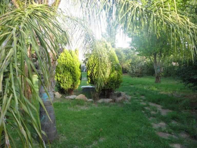 25 Ashton Street, Ariah Park NSW 2665 - photo 13