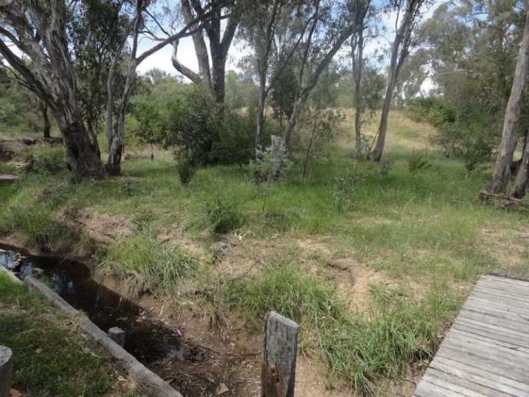 119 Burley Griffin Way, Springdale NSW 2666 - photo 16