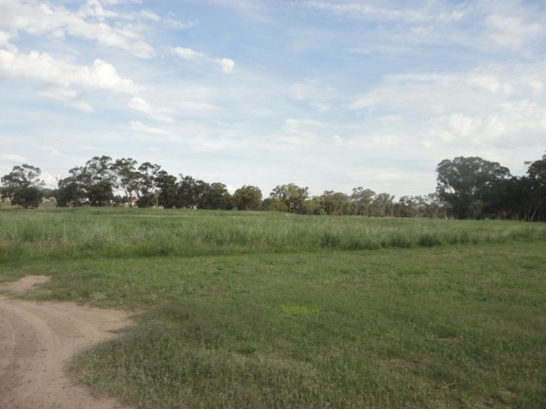 Lot 62 Whites Road, Springdale NSW 2666 - photo 14