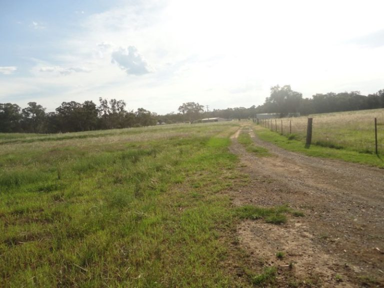 Lot 62 Whites Road, Springdale NSW 2666 - photo 15