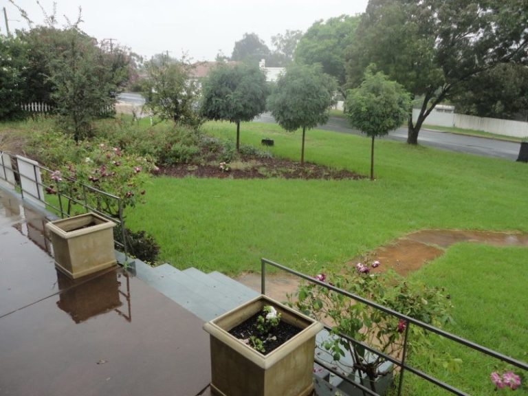 169 Kitchener Road, Temora NSW 2666 - photo 3