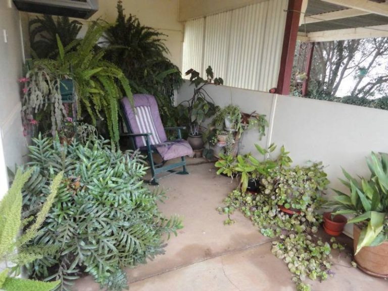 15 Cootamundra Road, Temora NSW 2666 - photo 13