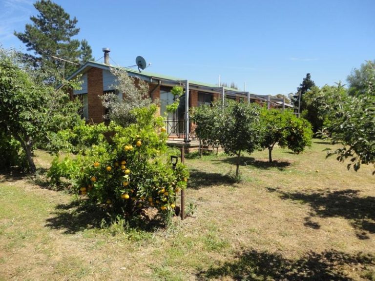 90 Hibernia Street, Stockinbingal NSW 2725 - photo 14