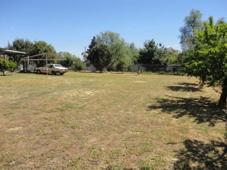 90 Hibernia Street, Stockinbingal NSW 2725 - photo 9