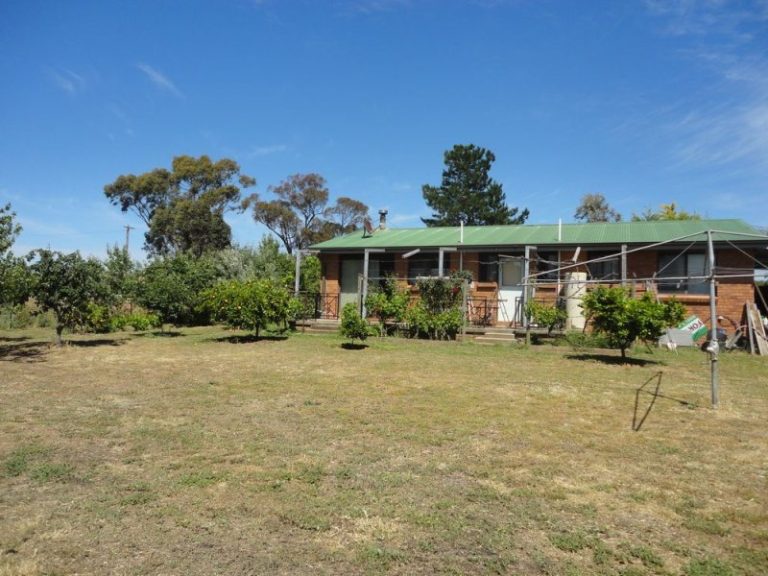 90 Hibernia Street, Stockinbingal NSW 2725 - photo 10