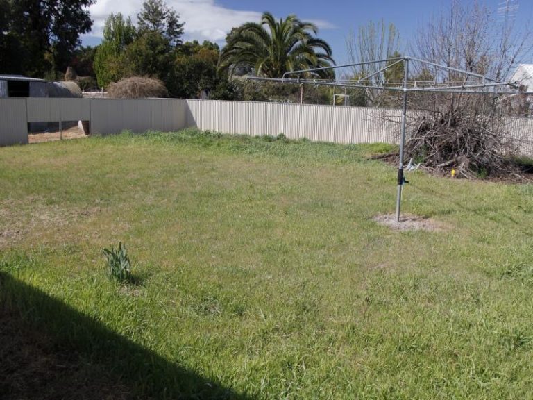 142 Victoria Street, Temora NSW 2666 - photo 13
