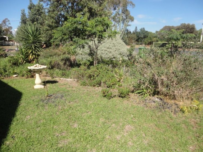 49 Queen Street, Barmedman NSW 2668 - photo 11