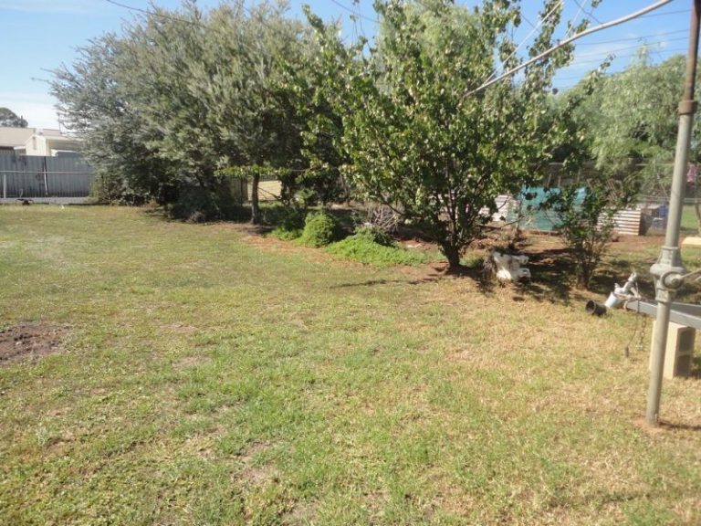 49 Queen Street, Barmedman NSW 2668 - photo 12