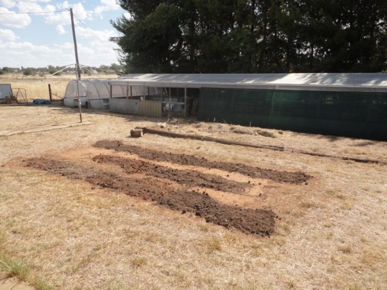 105 Trungley Hall Road, Temora NSW 2666 - photo 16