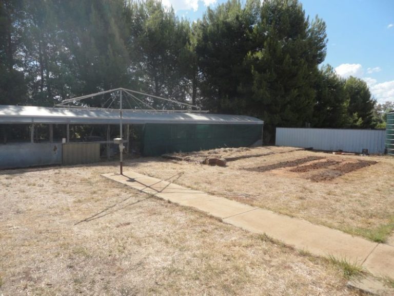 105 Trungley Hall Road, Temora NSW 2666 - photo 17