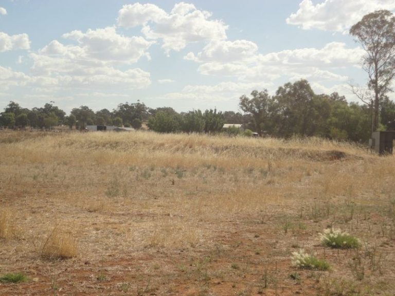 105 Trungley Hall Road, Temora NSW 2666 - photo 19