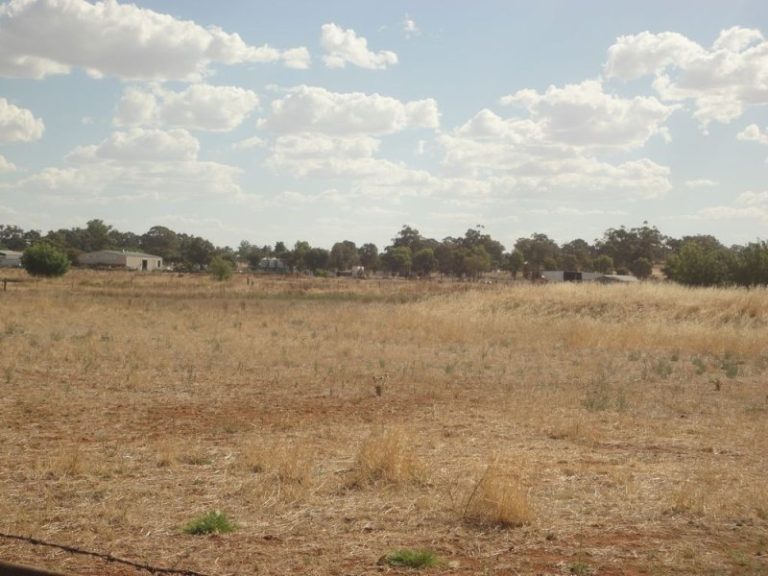 105 Trungley Hall Road, Temora NSW 2666 - photo 20