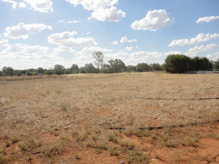 105 Trungley Hall Road, Temora NSW 2666 - photo 21