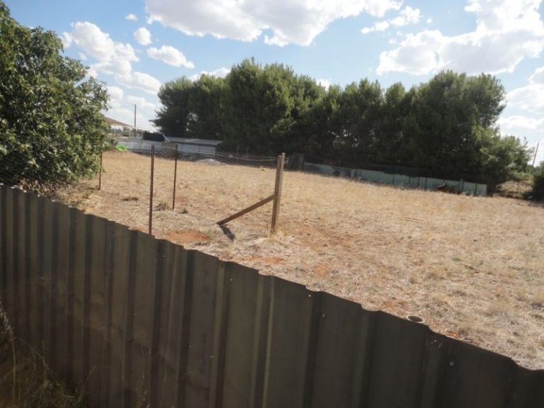 105 Trungley Hall Road, Temora NSW 2666 - photo 22