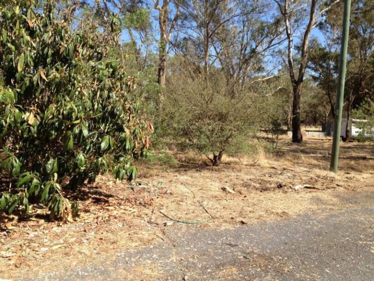 333 HIbernia Street, Stockinbingal NSW 2725 - photo 3