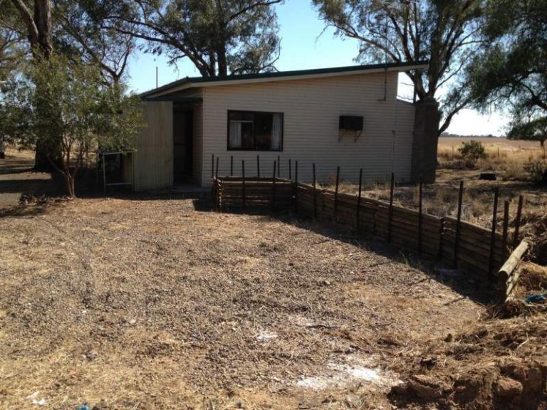 333 HIbernia Street, Stockinbingal NSW 2725 - photo 4