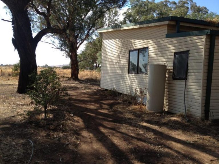 333 HIbernia Street, Stockinbingal NSW 2725 - photo 9