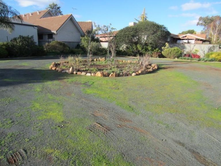 75 Jellicoe Street, Temora NSW 2666 - photo 18