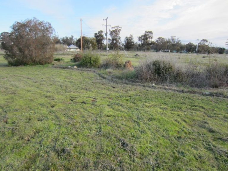 53 Mary Gilmore Way*, Barmedman NSW 2668 - photo 15
