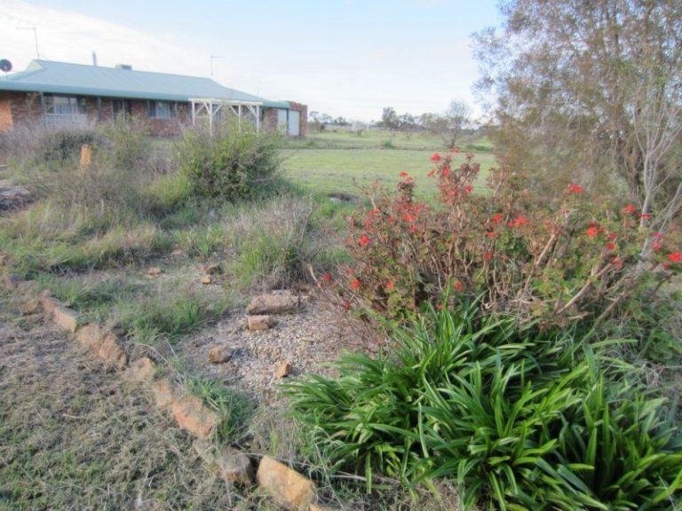 53 Mary Gilmore Way*, Barmedman NSW 2668 - photo 20