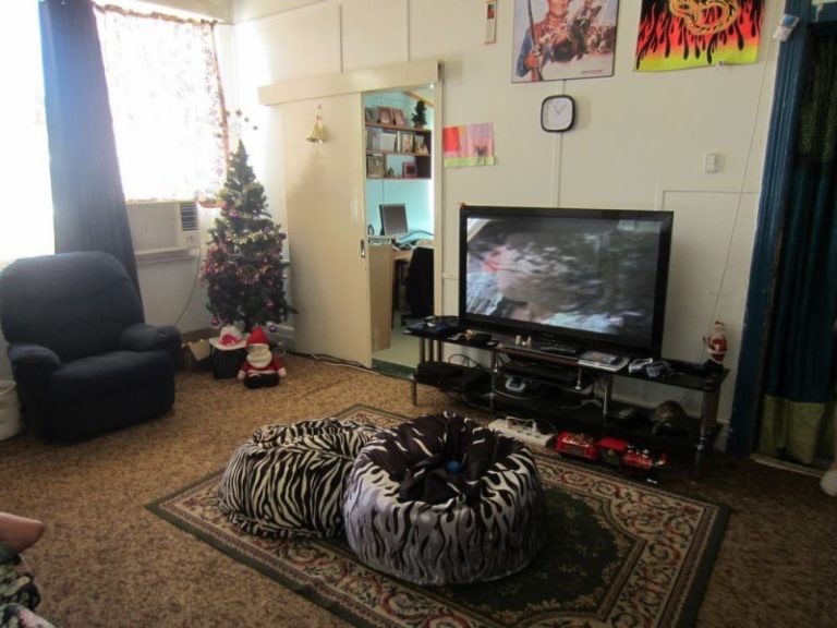 205 Hoskins Street*, Temora NSW 2666 - photo 4