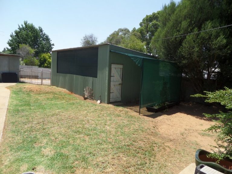 87 Twynam Street, Narrandera NSW 2700 - photo 9