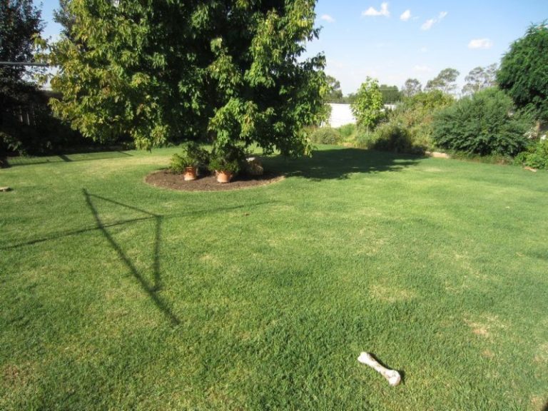 8 Kavanagh Circuit, Temora NSW 2666 - photo 22