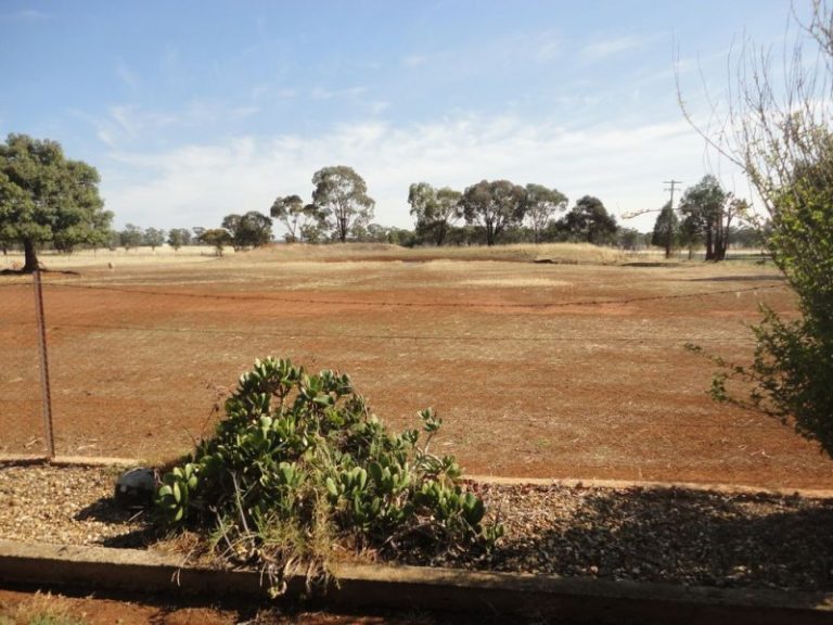 Lot 2 French Street, Temora NSW 2666 - photo 5