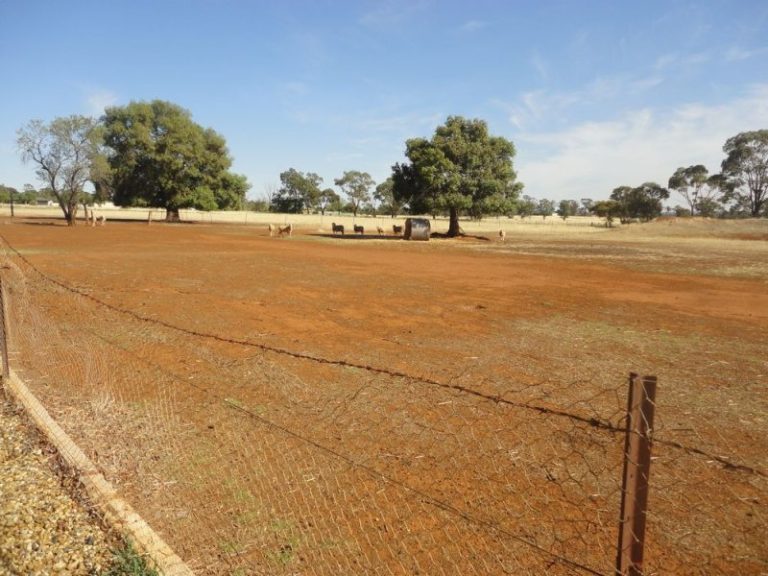 Lot 2 French Street, Temora NSW 2666 - photo 6