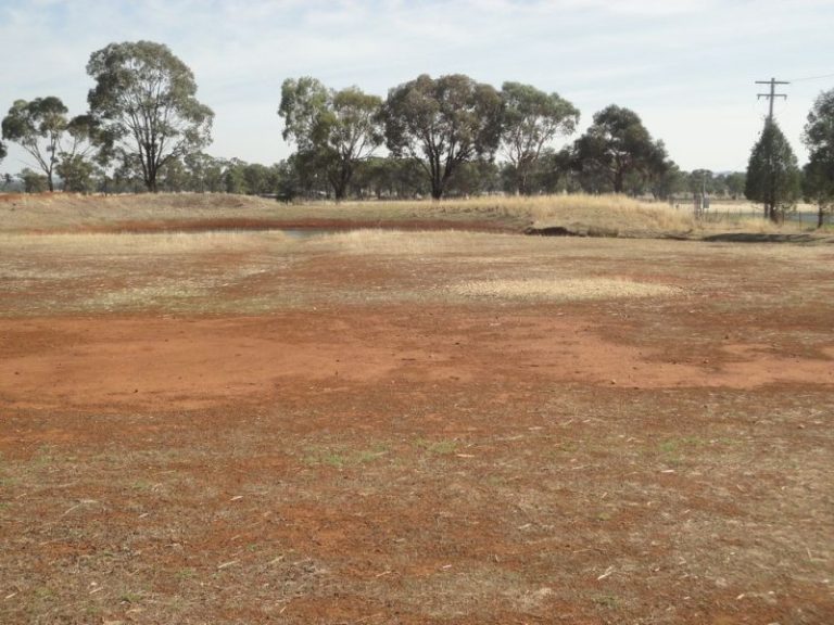 Lot 2 French Street, Temora NSW 2666 - photo 7